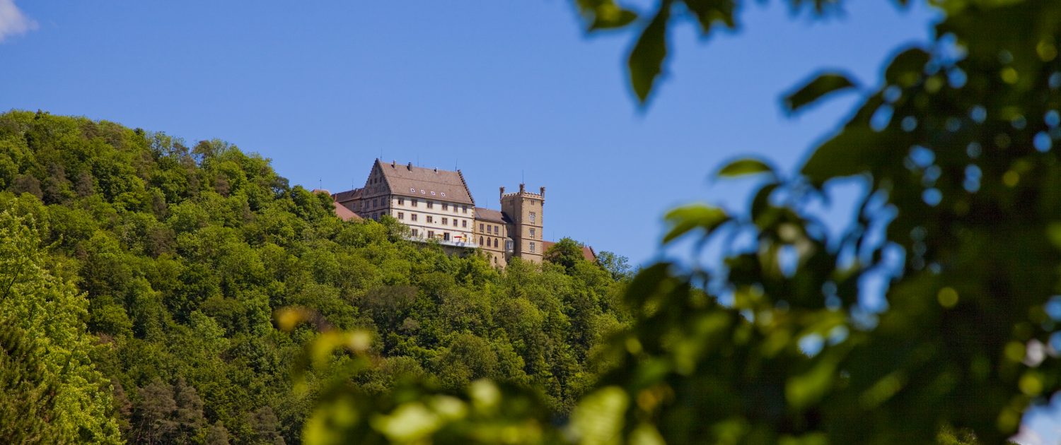 Außenansicht Schloss Weitenburg vom Tal aus, (c) Schloss Weitenburg, Starzach